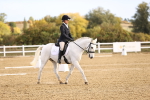 SBM_009009