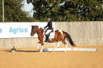 SBM_14165