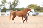 SBM_14187
