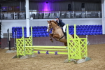 SBM_002086