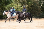 WJ6_9051
