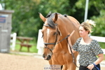 Trot Up 3pm to 4pm portfolio