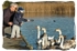Feeding The Swans With Grandad