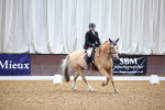 SBM_003724