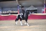 SBM_02913