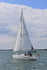 190729 MERDEKA GBR7835T - BAVARIA 44 1Y3A6201