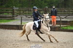 NSEA RPL 90-95cm portfolio