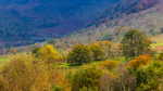 _MG_9974