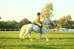 SBM_56612