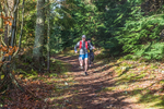 Glentress-1490