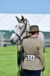 SBM_03335