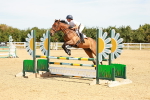 SBM_002926