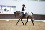 SBM_005842