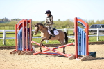 SBM_000658