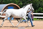 240718A-105305-01541