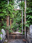 York County Prison (York, PA) | Overgrown Gate