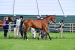SBM_00079