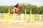 SBM_009274