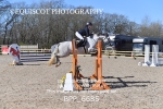 CLASS 12 SUN Pony Foxhunter/ 1.10m Open portfolio