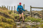 Langdale-945