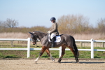 SBM_002187