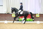 SBM_003931