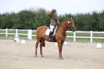 SBM_017421
