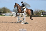 240409A-DSC_0520-01464