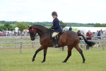 SBM_15945