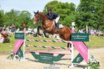 352-TEQUILA_SUNRISE-Pippa_Taylor-SUNTrotUp+SJ portfolio