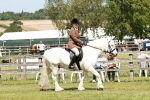 SBM_07023