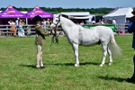 SBM_07818