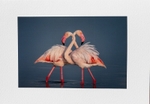 060 Dancing Flamingo