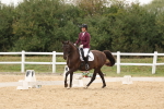 SBM_01121