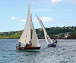Bequia Youth Sailors at a local regatta held at Young Island