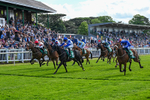 310526-Race 3-Al Hussar-8589