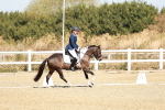 SBM_017044