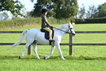 SBM_53992