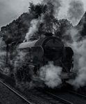 Steam Rising.
