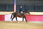 SBM_17688
