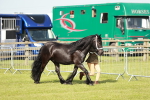 SBM_00871