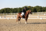 SBM_007067