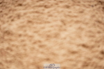 240524A-100728-02680