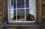 Bodie-18