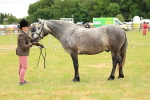 SBM_04052