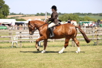 SBM_17732