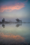 Whitten Pond Dawn