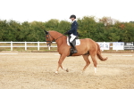 SBM_001673