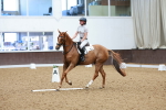 SBM_009273