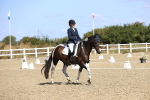 SBM_013215